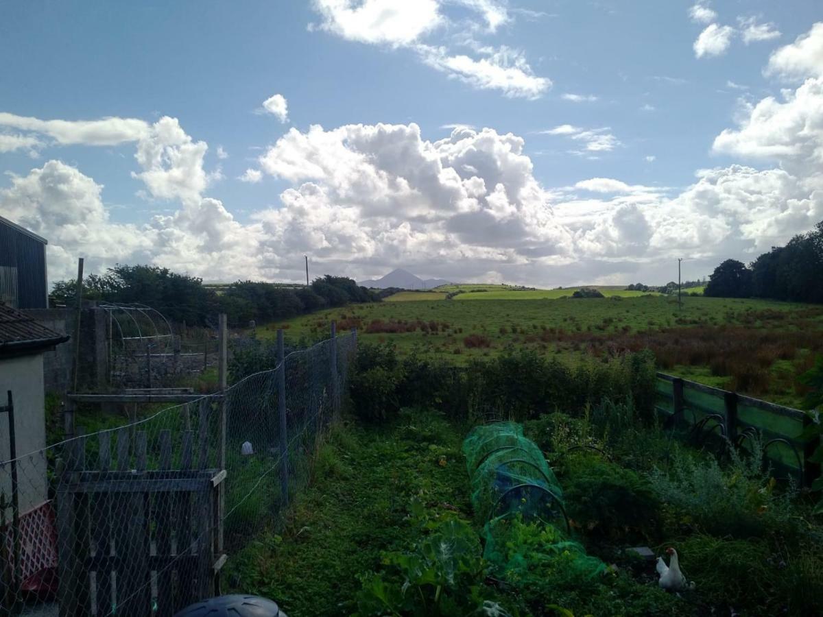 Catherine'S Lair A Quiet Peaceful Homestay Westport Exterior foto